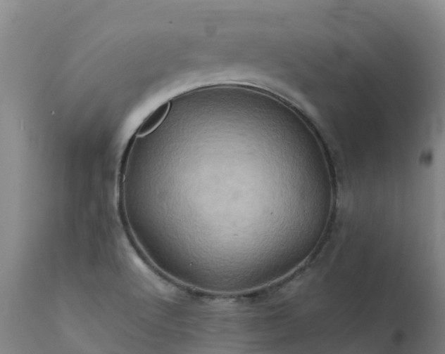 X0000111471512200907201124