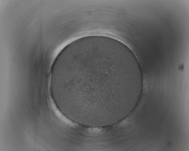 X0000111471515200907201124