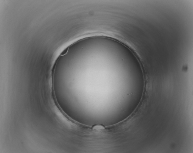 X0000111471516200907201124