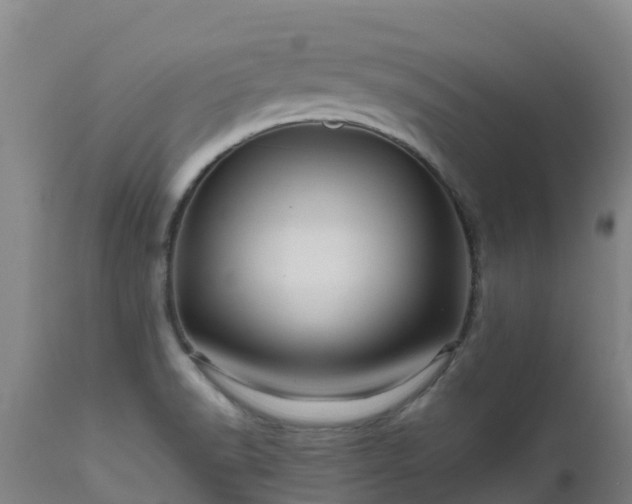 X0000111471518200907201124
