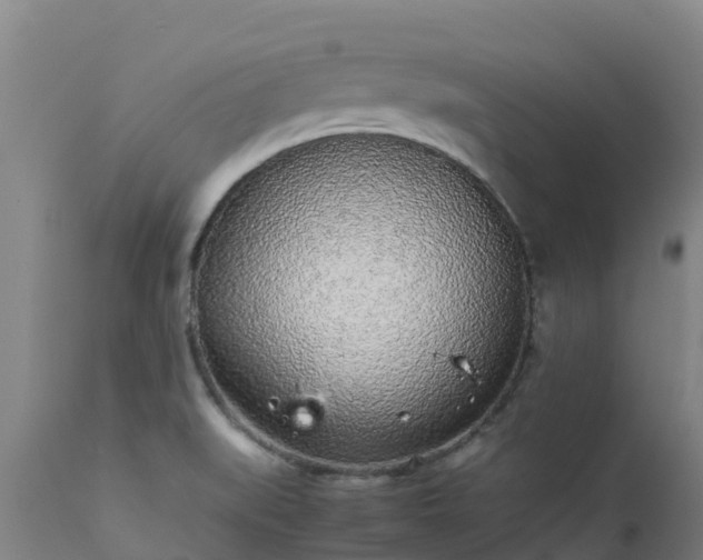 X0000111471519200907201124