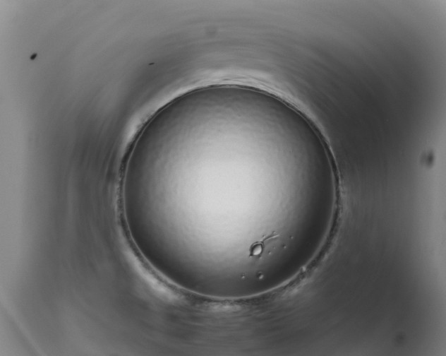 X0000111471525200907201124