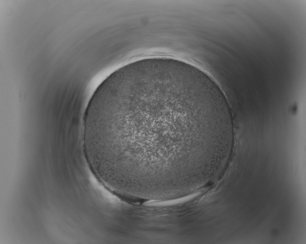 X0000111471527200907201124