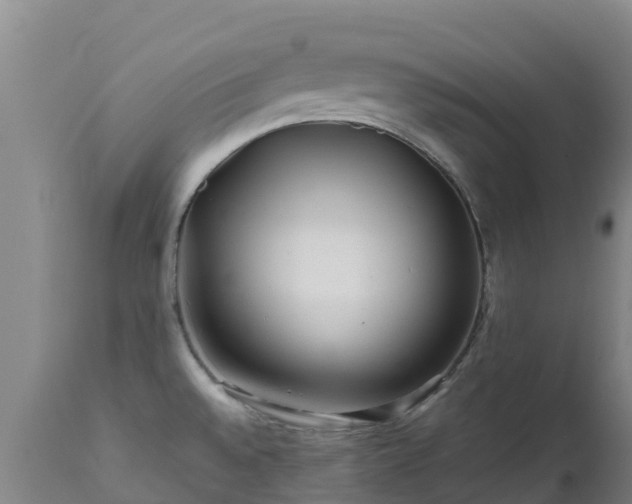 X0000111471528200907201124