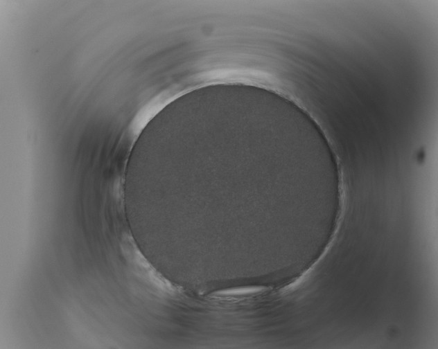 X0000111471529200907201124