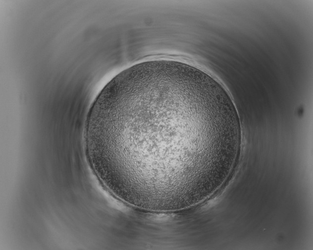 X0000111471533200907201124