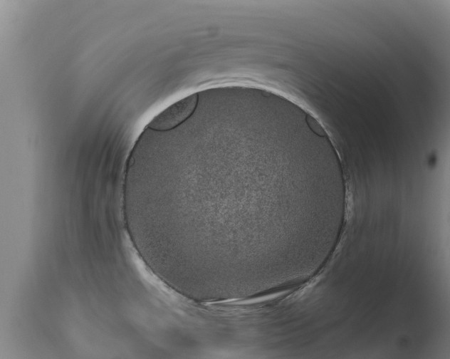 X0000111471534200907201124