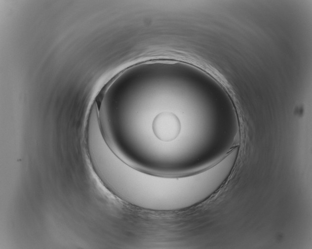 X0000111471536200907201124
