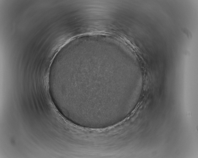 X0000111470002200907271321