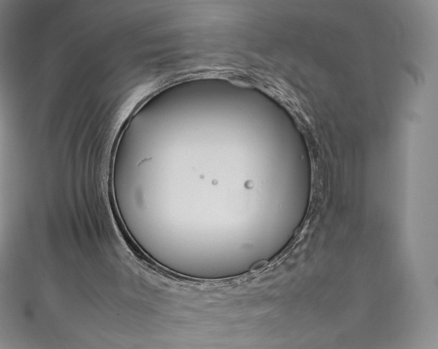 X0000111470003200907271321