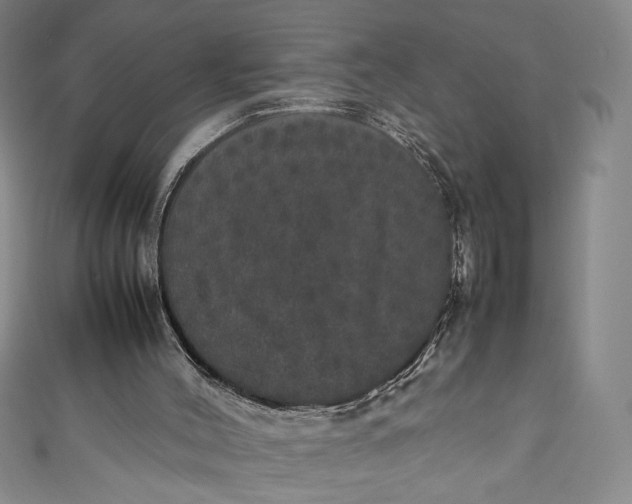 X0000111470004200907271321