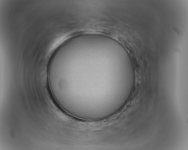 X0000111470005200907271321