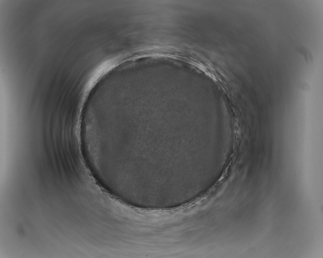 X0000111470006200907271321