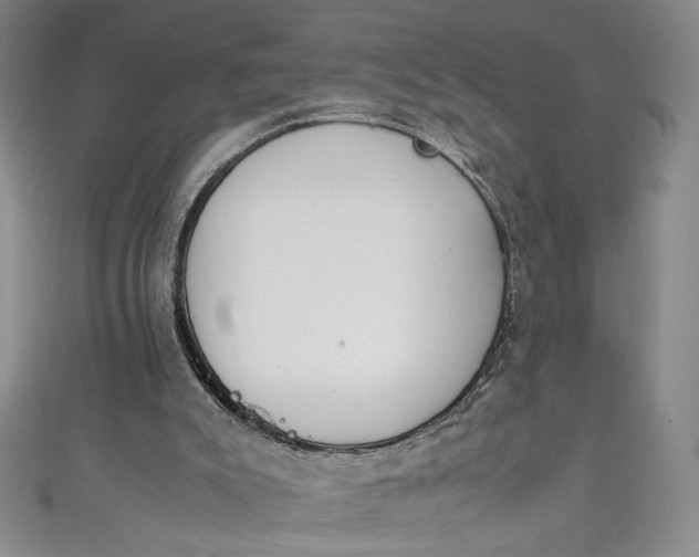 X0000111470007200907271321