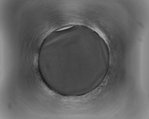 X0000111470009200907271321