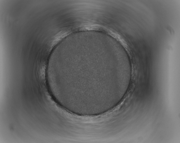 X0000111470010200907271321