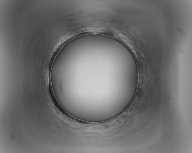 X0000111470011200907271321