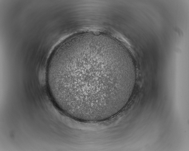 X0000111470012200907271321