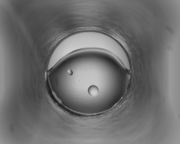 X0000111470013200907271321