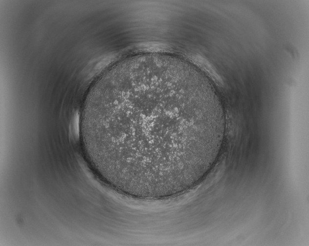 X0000111470014200907271321