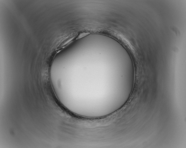 X0000111470017200907271321