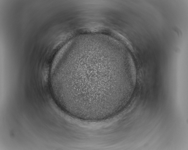 X0000111470018200907271321