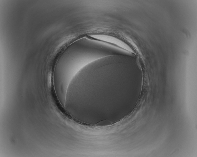 X0000111470019200907271321