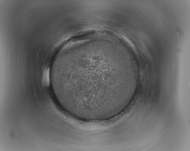 X0000111470020200907271321