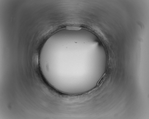 X0000111470021200907271321