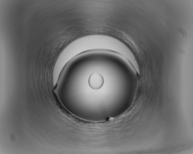 X0000111470025200907271321