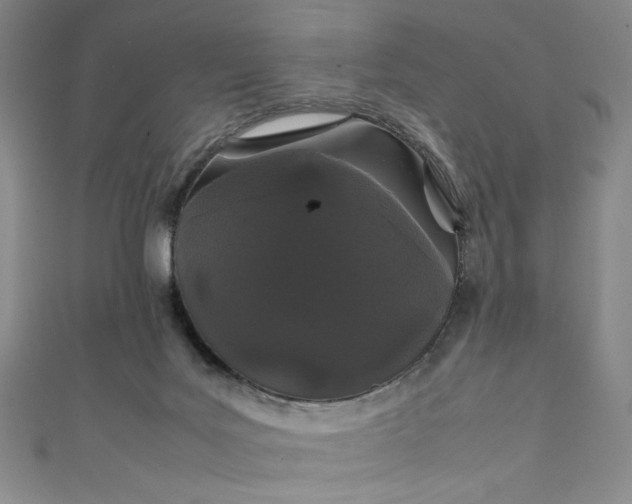 X0000111470027200907271321