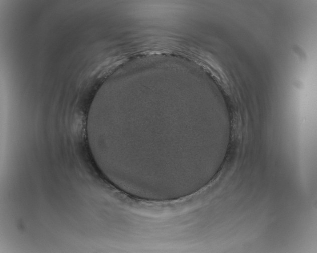 X0000111470029200907271321