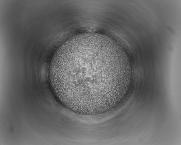 X0000111470030200907271321