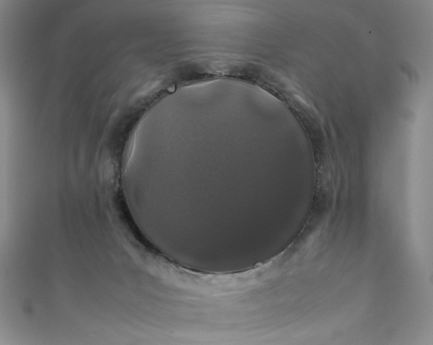 X0000111470031200907271321