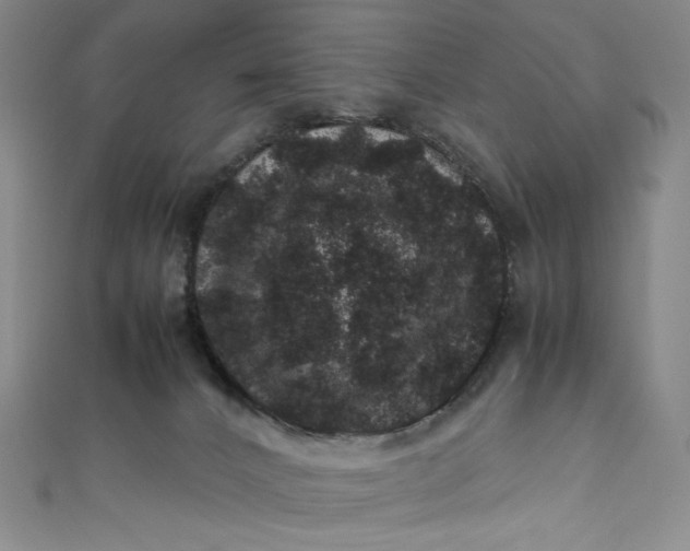 X0000111470032200907271321