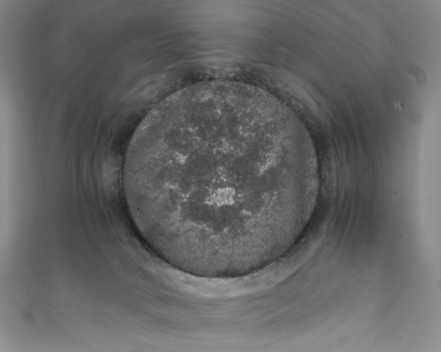 X0000111470034200907271321