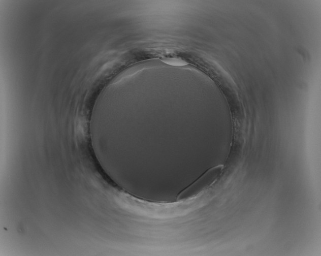 X0000111470035200907271321