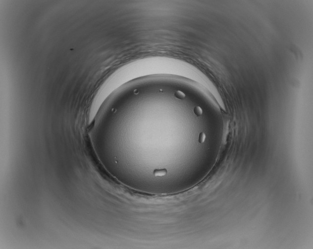 X0000111470036200907271321