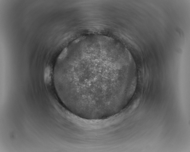 X0000111470038200907271321