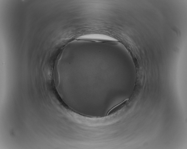 X0000111470039200907271321