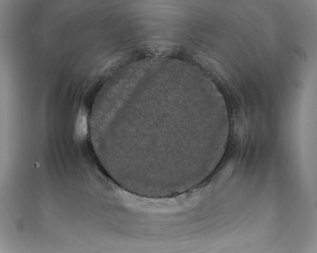 X0000111470042200907271321