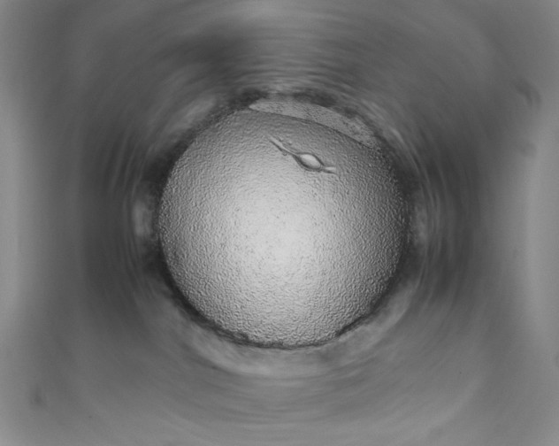 X0000111470044200907271321