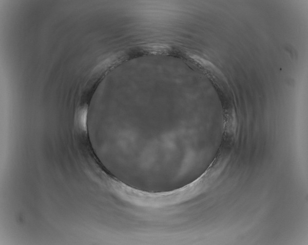 X0000111470047200907271321