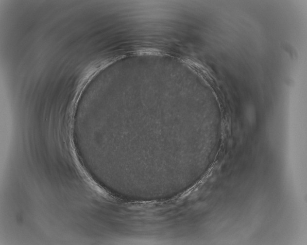 X0000111470049200907271320