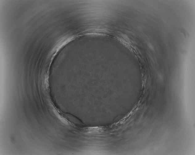 X0000111470050200907271320