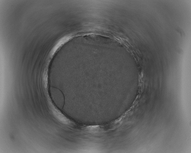 X0000111470054200907271320