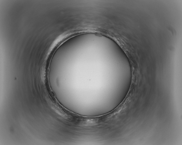 X0000111470056200907271320