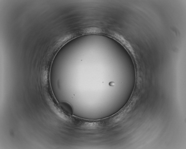 X0000111470057200907271320