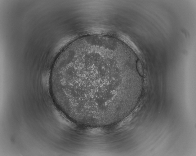 X0000111470058200907271320