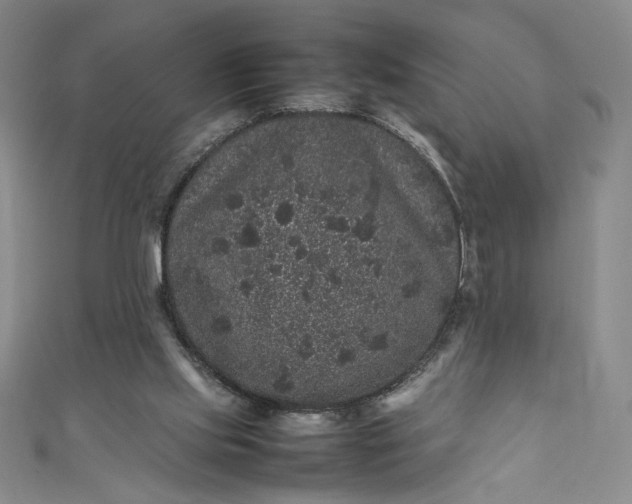 X0000111470061200907271320